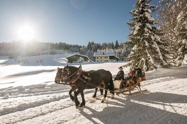 Pferdeschlitten in Flachau - Appartements Atempause