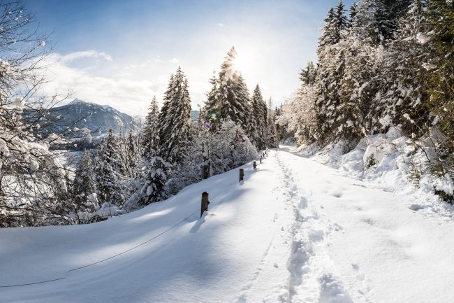 Winter in Flachau - Appartements Atempause